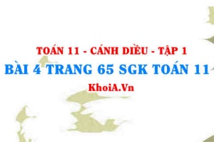 Bài 4 trang 65 SGK Toán 11 tập 1 Cánh Diều